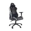 WHITE SHARK NITRO-GT gamer szék fekete/fehér