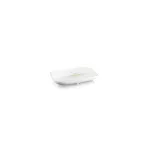Access Point
